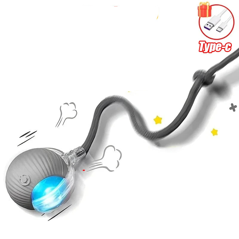 Automatic Rolling Cat Ball