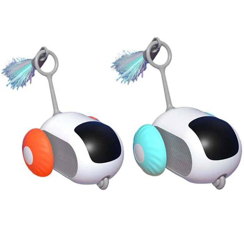 Remote Control Cat Car