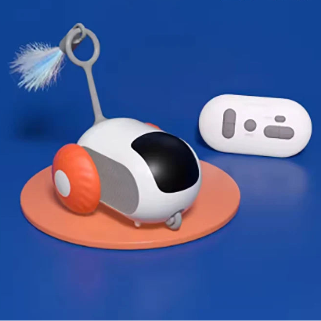 Remote Control Cat Car