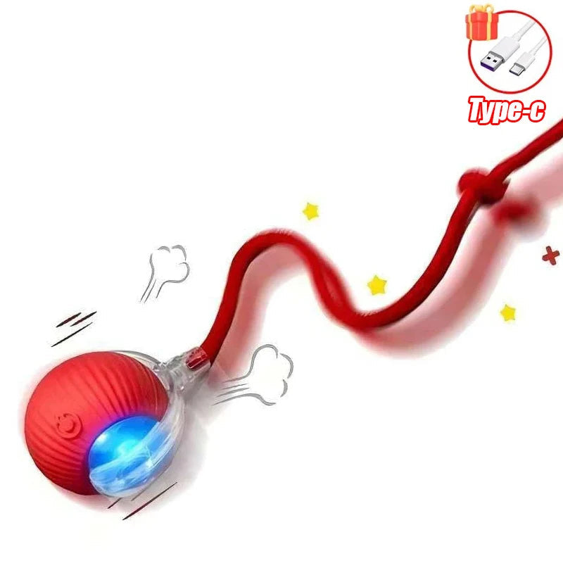 Automatic Rolling Cat Ball